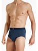 Haasis Bodywear 2er-Set: Slip in Maritim