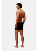 Björn Borg Boxershorts in mehrfarbig