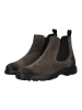 Geox Stiefelette in Mud