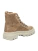 Alpe Schnürstiefeletten in Beige