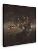 MuchoWow Leinwand Bilder Hirsch