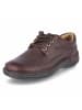 Clarks Halbschuhe NATURE THREE in braun