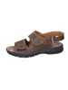 Jomos Schnürschuh in braun