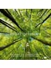 I-DI Musik - Relaxing Classics