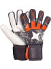 Derbystar Torwarthandschuh "Goalie V22" in Grau