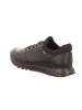 Ecco Sneaker in schwarz