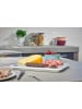 Mepal Servierbox Modula in Grau 2800 ml in grau