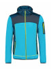 Icepeak Fleecejacke Beilstein in Multicolor