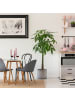 relaxdays Esstisch in Weiß/Natur - (H)75 x Ø80 cm