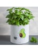 Mr. & Mrs. Panda Blumentopf Groß Avocado Tanzen ohne Spruch in Weiß