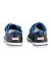 Geox Kilwi Canv+Geobuck Sneaker mit Klettverschluss für Kinder Blau