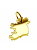 Schmuckador Anhänger der Landkarte Irland komplett in massiv 333 Gelbgold in gold