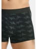 Adidas Sportswear Retro Short / Pant Active Flex Cotton in Schwarz / petrol
