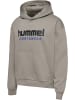 Hummel Sweatshirt Hmlboxy Erwachsene in ROCK RIDGE
