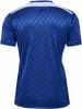 Hummel Sportshirt "Match Legend Jerseys S/S" in Blau