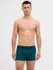 Jack & Jones 3er-Pack Trunks in Pine Green