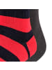 Falke Socken 2er Pack in Blau/Rot