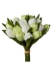 Creativ green Deko-Tulpenbund