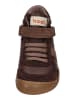 KOEL Sneaker High DANIEL 3.0 SUEDE in braun