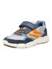 Geox Sneaker in Grau/Navy