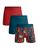Muchachomalo 3er-Set: Boxershort in Mehrfarbig - für Kinder