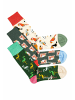 DillySocks Socken Bird Crowd Pack in mehrfarbig