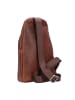 Esquire Dallas Umhängetasche Leder 20 cm braun