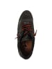 Cetti Sneaker  in Grün