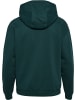 Hummel Hoodie "Loose Hoodie Sportswear" in Grün