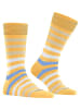 Burlington Socke Blackpool SO in Sun