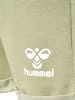 Hummel Hummel Kurze Hose Hmlflik Jungen Atmungsaktiv in ELM