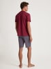 Calida Pyjama kurz in Mars red