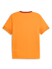 Puma Galatasaray Istanbul Trainings Trikot der Saison 25-26 in orange
