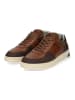 Bullboxer Sneaker in Cognac