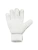 uhlsport  Torwarthandschuhe FM Cybertec Starter Soft in weiß/cyberblau/schwarz