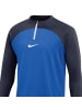 Nike Nike Dri-FIT Academy in Blau