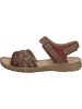 Josef Seibel Riemchen Sandalen für Damen in rot