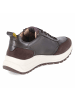 SALAMANDER Low Sneaker in braun