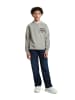 G-Star Raw Boys Basic Coll Crew Sweatshirt grey alloy