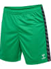 Hummel Short "Hmlauthentic Pl Shorts" in Multicolor