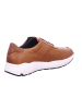 Solidus Sneaker Low in braun