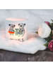 Mr. & Mrs. Panda Windlicht Glas Koala Familie mit Spruch in Transparent