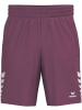 erima Sportshorts "Celebrate 125 Shorts" in Rot