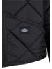 Dickies Dickies Leichte Jacken in black