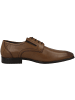 s.Oliver BLACK LABEL Businessschuhe 5-13210-41 in braun