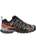 SALOMON Laufschuhe XA PRO 3D V9 GTX in grau