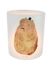 Mr. & Mrs. Panda Windlicht Deko Murmeltier ohne Spruch in Transparent