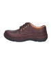 Clarks Sneaker Nature Three in mahogany leather