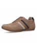 Camel Active Sneaker in braun