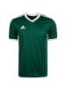 adidas Performance Fußballtrikot Tabela 18 in grün / weiß